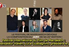 Photo of Festival International du Film de Marrakech : Le réalisateur Italien, Luca Guadagnino, présidera le jury 