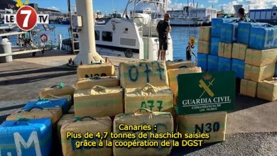 Photo of Canaries : Plus de 4,7 tonnes de haschich saisies grâce à la coopération de la DGST