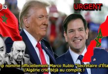 Photo of Donald Trump nomme officiellement Marco Rubio Secrétaire d’Etat : L’Algérie crie au « complot »