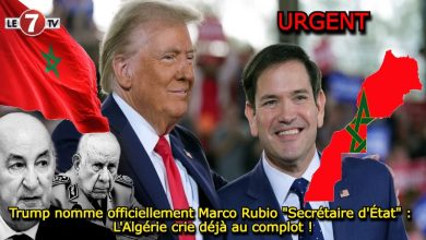 Photo of Donald Trump nomme officiellement Marco Rubio Secrétaire d’Etat : L’Algérie crie au « complot »