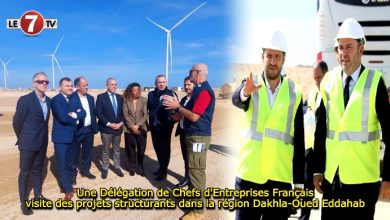 Photo of Une Délégation de Chefs d’Entreprises Français visite des projets structurants dans la région Dakhla-Oued Eddahab