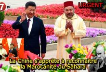 Photo of La Chine s’apprête à reconnaître la Marocanité du Sahara