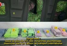 Photo of Tanger Med : Saisie de plus de 155.000 comprimés psychotropes dissimulés dans un camion de transport international 