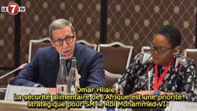 Photo of Omar Hilale : La sécurité alimentaire de l’Afrique est une priorité stratégique pour SM le Roi Mohammed VI 