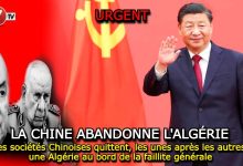 Photo of Les sociétés Chinoises quittent, les unes après les autres, une Algérie au bord de la faillite générale