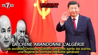 Photo of Les sociétés Chinoises quittent, les unes après les autres, une Algérie au bord de la faillite générale