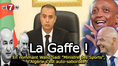 Photo of En nommant Walid Sadi « Ministre des Sports », l’Algérie s’est auto-sabordée ! 