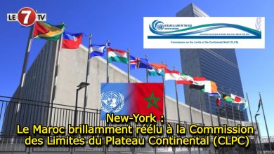 Photo of New-York : Le Maroc brillamment réélu à la Commission des Limites du Plateau Continental (CLPC)