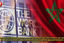 Photo of La Banque Mondiale approuve un financement de 250 millions de dollars en faveur du Maroc pour renforcer son système agroalimentaire