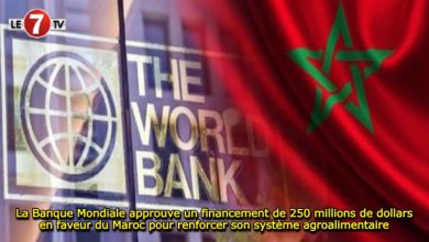 Photo of La Banque Mondiale approuve un financement de 250 millions de dollars en faveur du Maroc pour renforcer son système agroalimentaire