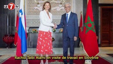 Photo of Rachid Talbi Alami en visite de travail en Slovénie