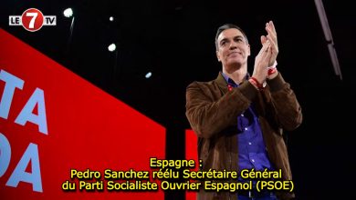 Photo of Espagne : Pedro Sanchez réélu Secrétaire Général du Parti Socialiste Ouvrier Espagnol (PSOE)