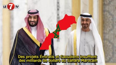 Photo of Des projets Émiratis et Saoudiens insufflent des milliards de dollars au Sahara Marocain