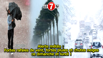 Photo of Alerte Météo : Fortes averses orageuses et chutes de neige, dimanche et lundi, dans plusieurs provinces du Royaume 