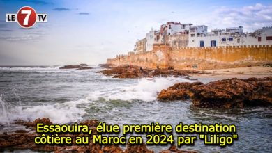 Photo of Essaouira, élue première destination côtière au Maroc en 2024 par « Liligo »