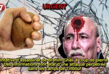 Photo of Tentative d’assassinat de Brahim Ghali à coup de pierre : Des informations font état d’une attaque perpétrée dans les camps de Tindouf