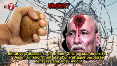 Photo of Tentative d’assassinat de Brahim Ghali à coup de pierre : Des informations font état d’une attaque perpétrée dans les camps de Tindouf